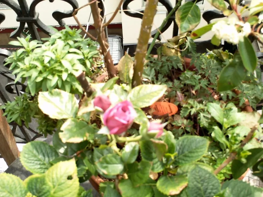 Bed & Breakfast Domingorooms - Le Marais Paris